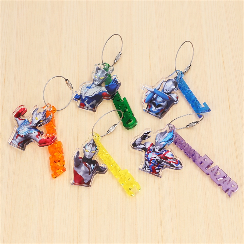 アクリルワイヤーキーホルダー